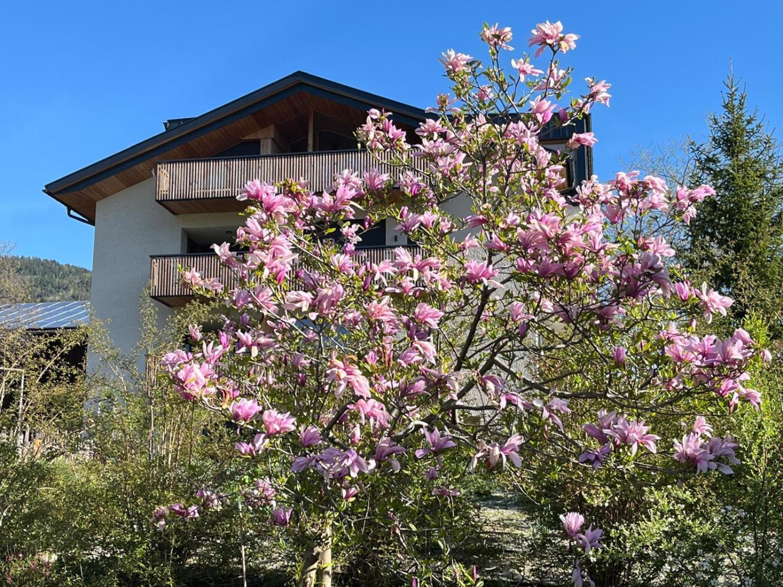 Oberfallerhof Apartment Ummi Barbiano  Buitenkant foto